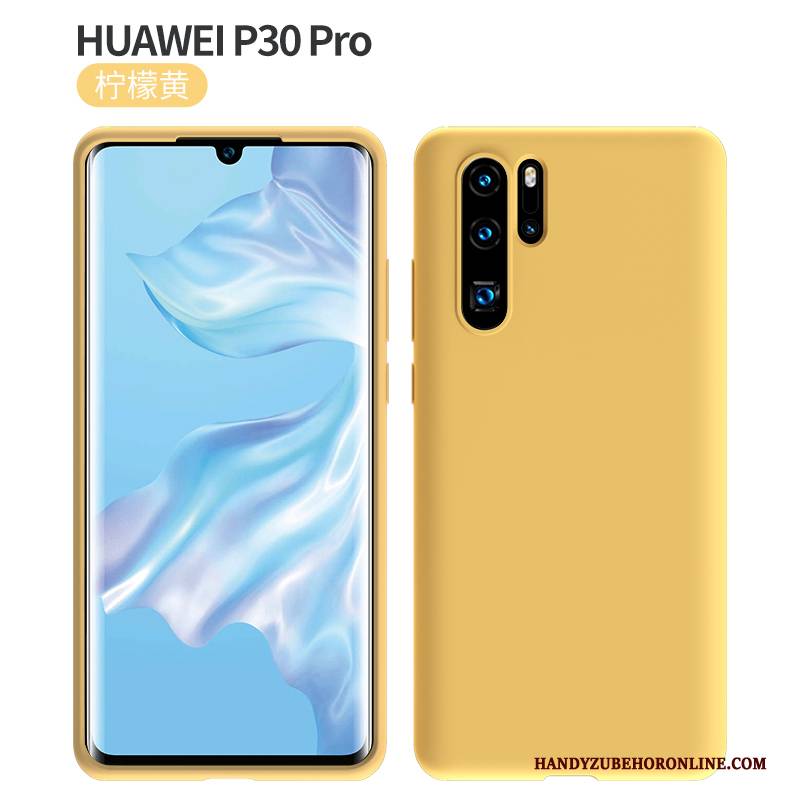 Hülle Huawei P30 Pro Silikon Einfarbig Handyhüllen, Case Huawei P30 Pro Weiche Neu Trendmarke