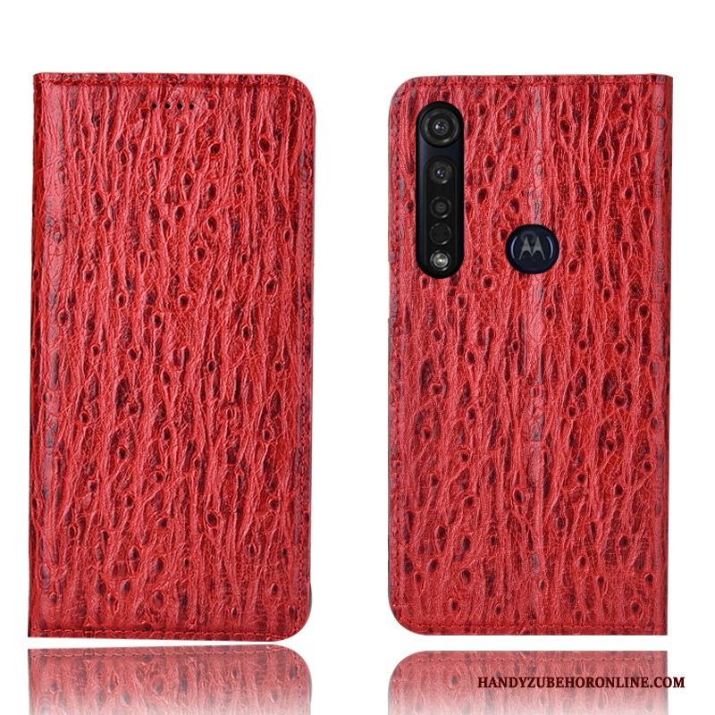 Hülle Moto G8 Plus Leder Grün Handyhüllen, Case Moto G8 Plus Taschen Vogel Anti-sturz