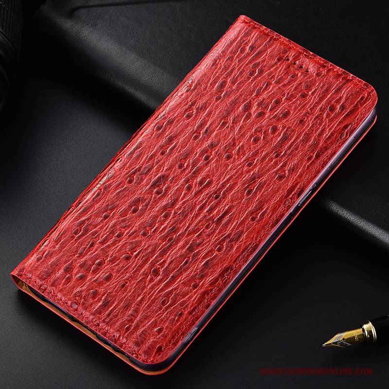 Hülle Samsung Galaxy Note 10+ Lederhülle Vogel Rot, Case Samsung Galaxy Note 10+ Taschen Handyhüllen