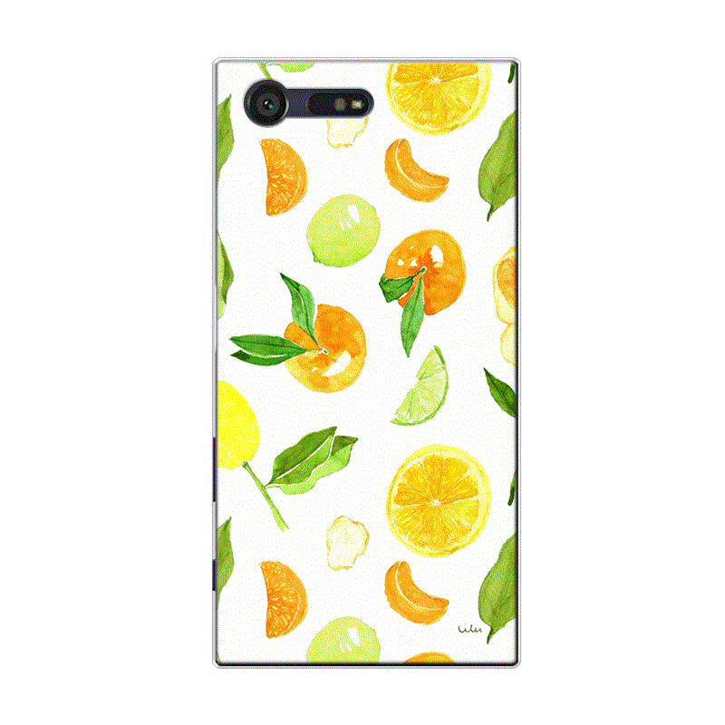 Hülle Sony Xperia X Compact Taschen Wassermelone Frucht, Case Sony Xperia X Compact Silikon Grün Frisch