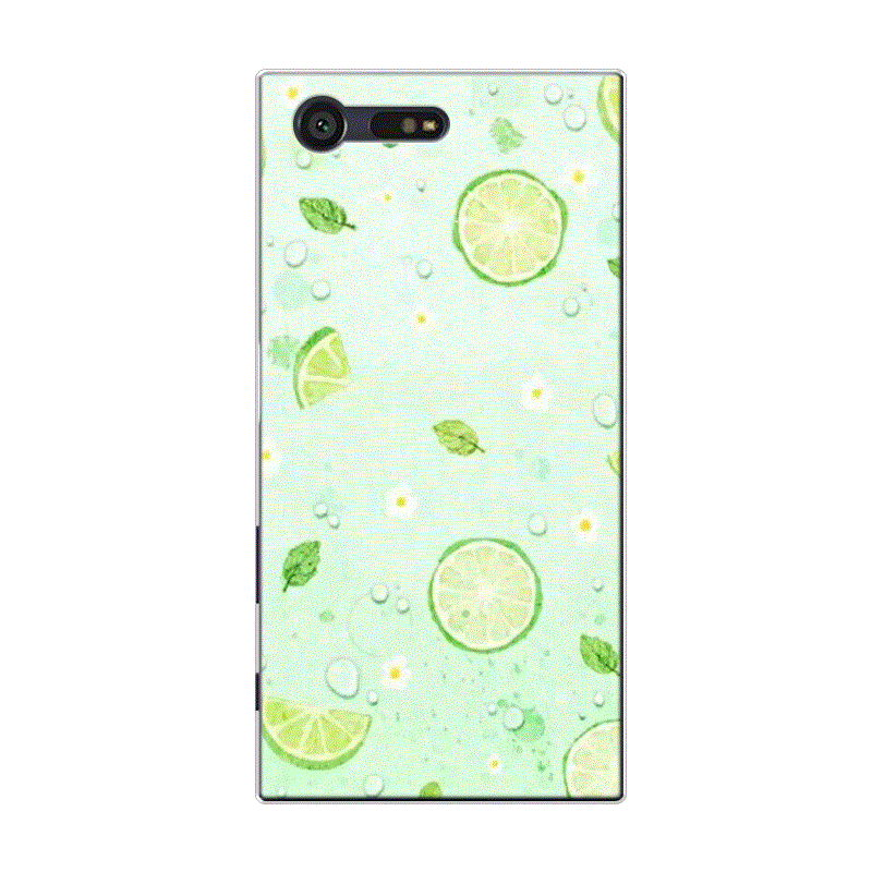 Hülle Sony Xperia X Compact Taschen Wassermelone Frucht, Case Sony Xperia X Compact Silikon Grün Frisch