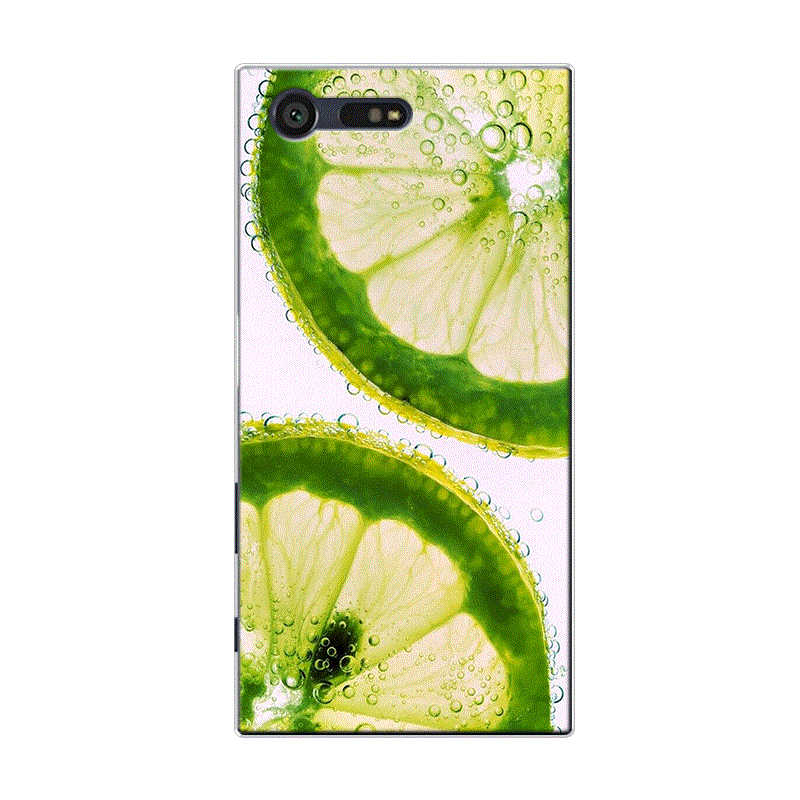 Hülle Sony Xperia X Compact Taschen Wassermelone Frucht, Case Sony Xperia X Compact Silikon Grün Frisch