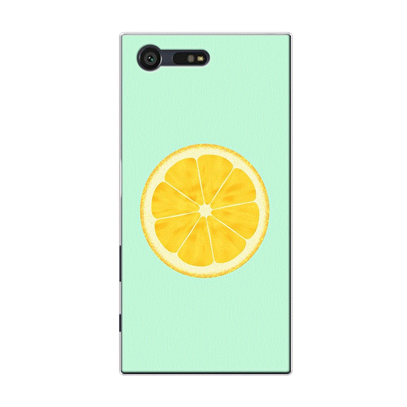 Hülle Sony Xperia X Compact Taschen Wassermelone Frucht, Case Sony Xperia X Compact Silikon Grün Frisch